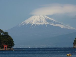 今日の富士山（戸田港）