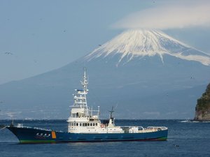 今日の富士山（戸田港）