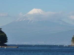 今日の富士山（戸田港）
