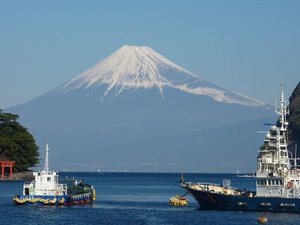 今日の富士山（戸田港）