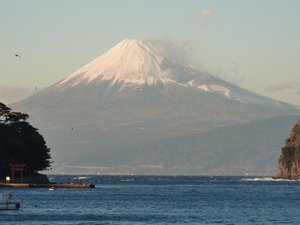今日の富士山（戸田港）