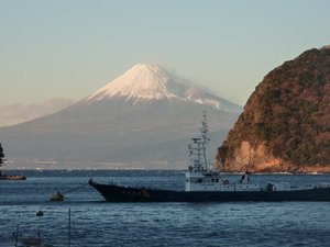 今日の富士山（戸田港）