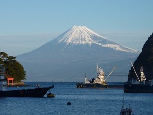 今日の富士山（戸田港）