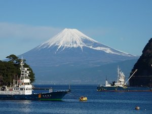 今日の富士山（戸田港）