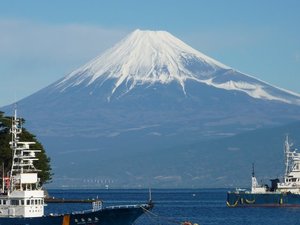 今日の富士山（戸田港）