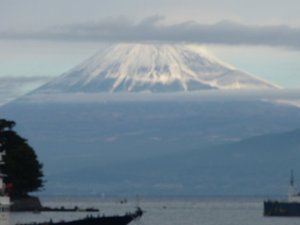 今日の富士山（戸田港）
