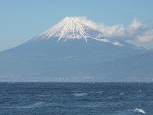 今日の富士山（戸田港）
