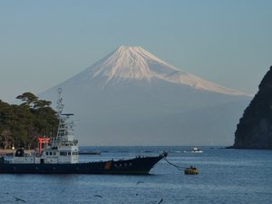 今日の富士山（戸田港）