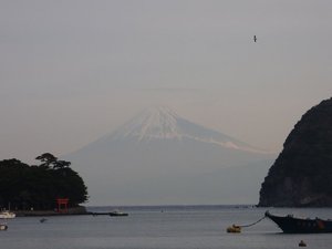 今日の富士山（戸田港）