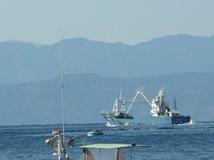 今日の戸田港
