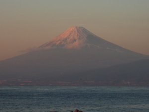 今日の富士山（戸田港）