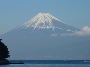 今日の富士山（戸田港）