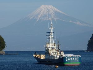 今日の富士山（戸田港）