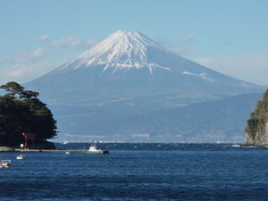 今日の富士山（戸田港）