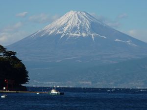 今日の富士山（戸田港）