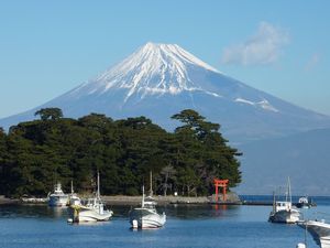 今日の富士山（戸田港）