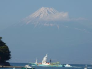 今日の富士山（戸田港）