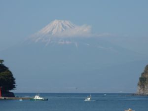 今日の富士山（戸田港）