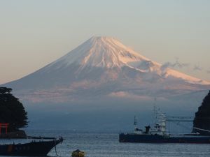 今日の富士山（戸田港）
