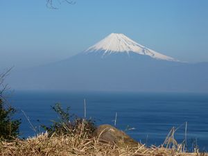 今日の富士山（戸田港）