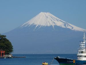 今日の富士山（戸田港）