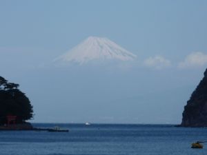 今日の富士山（戸田港）