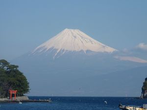 今日の富士山（戸田港）