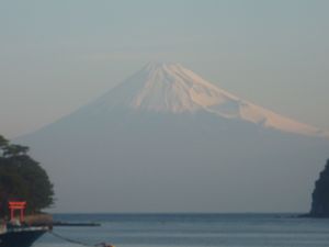 今日の富士山（戸田港）