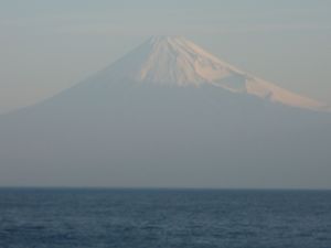 今日の富士山（戸田港）