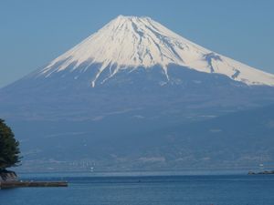 今日の富士山（戸田港）