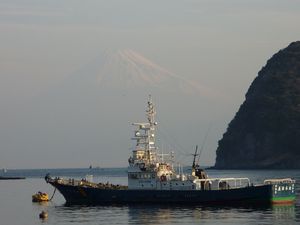 今日の富士山（戸田港）