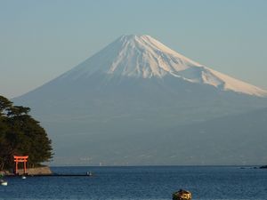 今日の富士山（戸田港）