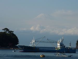 今日の富士山（戸田港）