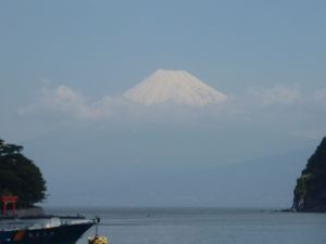 今日の富士山（戸田港）