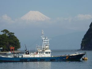 今日の富士山（戸田港）