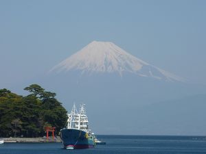 今日の富士山（戸田港）