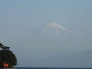 今日の富士山（戸田港）