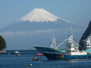 今日の富士山（戸田港）