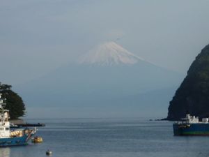 今日の富士山（戸田港）