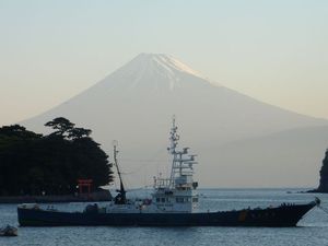 今日の富士山（戸田港）