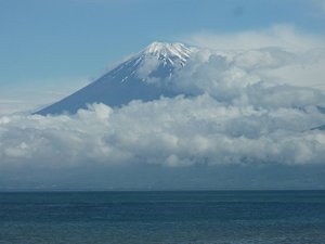 今日の