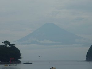 今日の富士山（戸田港）