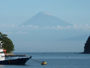 今日の富士山（戸田港）