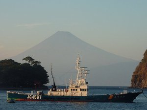 今日の富士山（戸田港）