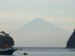 今日の富士山（戸田港）