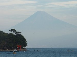 今日の富士山（戸田港）