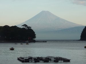 今日の富士山（戸田港）