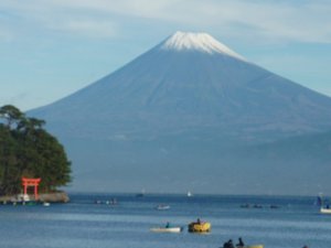 今日の富士山（戸田港）