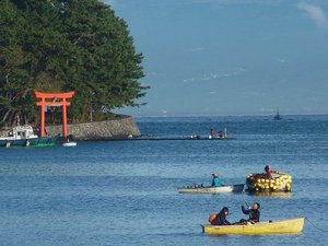 今朝の戸田湾釣り風景