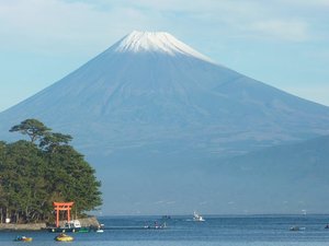 今日の富士山（戸田港）